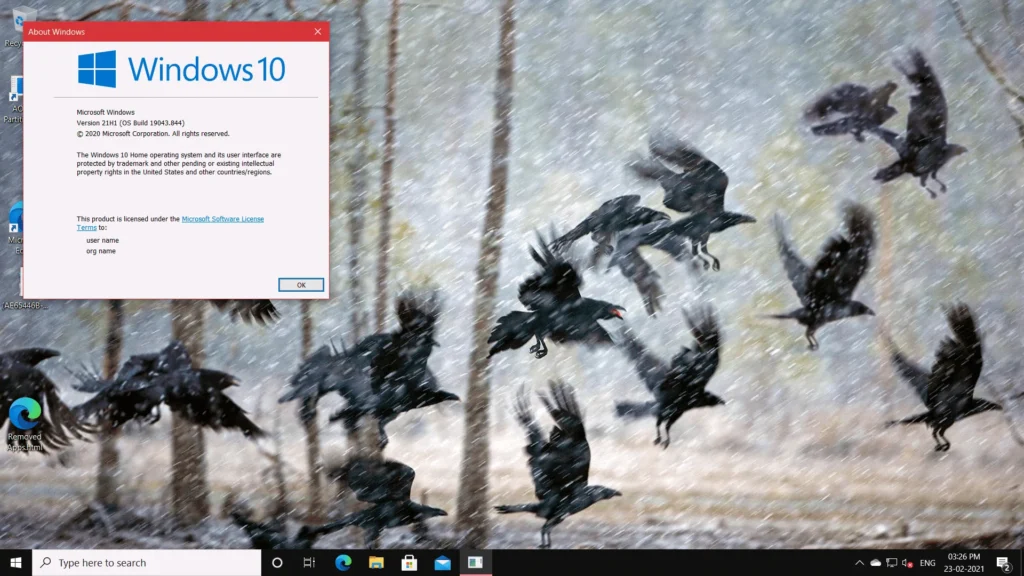 Windows 10 21H1, the next version of Windows 10 2 21h2