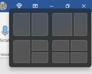 snap 11 review