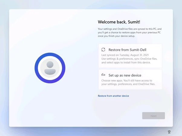 Clean Install Windows 11 11 image 11 1