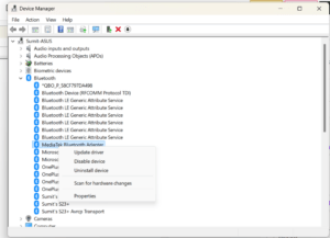Windows 11 Bluetooth device manager