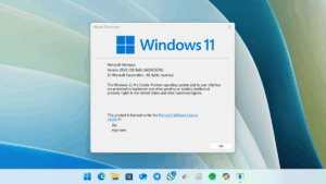 Windows 11 Pro winver