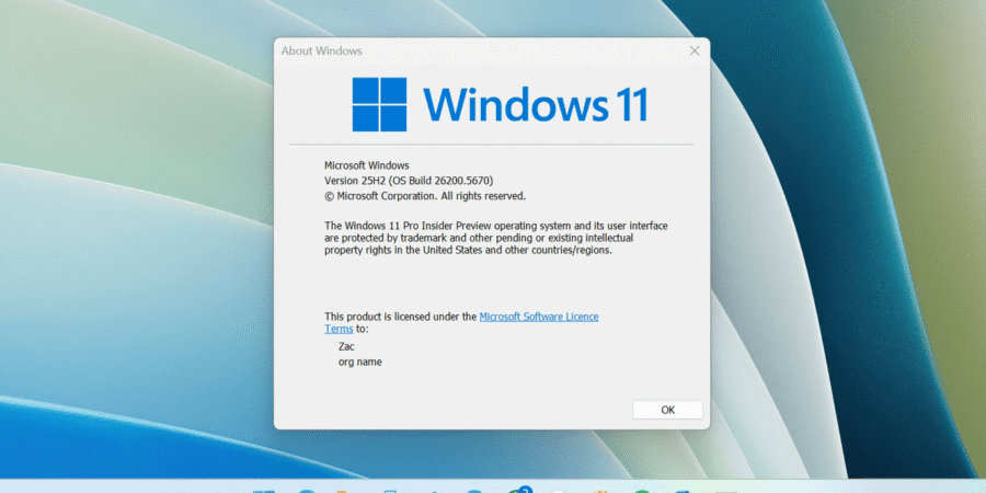 Windows 11 Pro winver