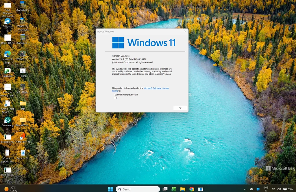 Windows 11 Desktop
